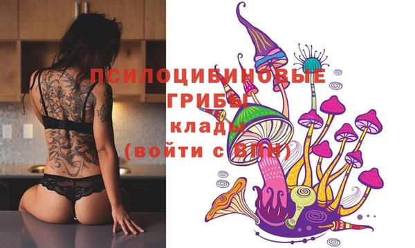 гидропоника Осинники