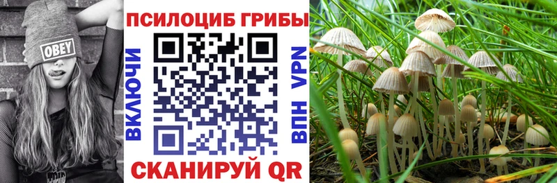 даркнет формула  Кохма  Псилоцибиновые грибы MAGIC MUSHROOMS 